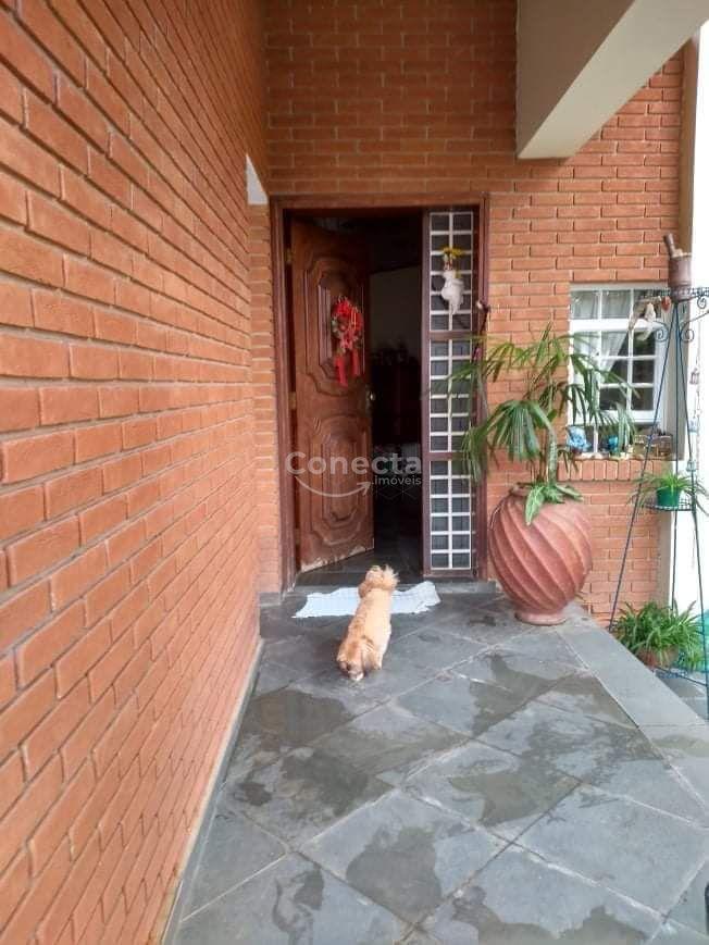 Casa, 4 quartos, 396 m² - Foto 13