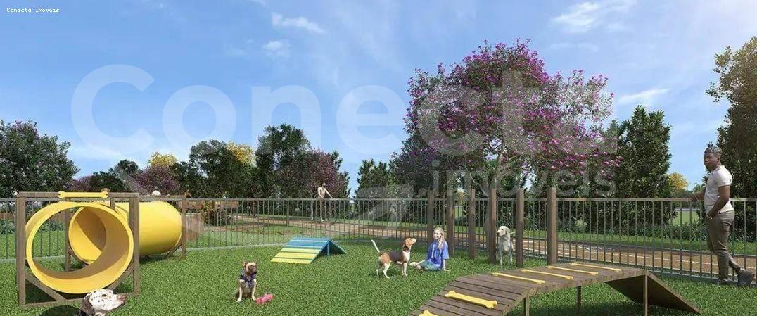 Terreno, 250 m² - Foto 8