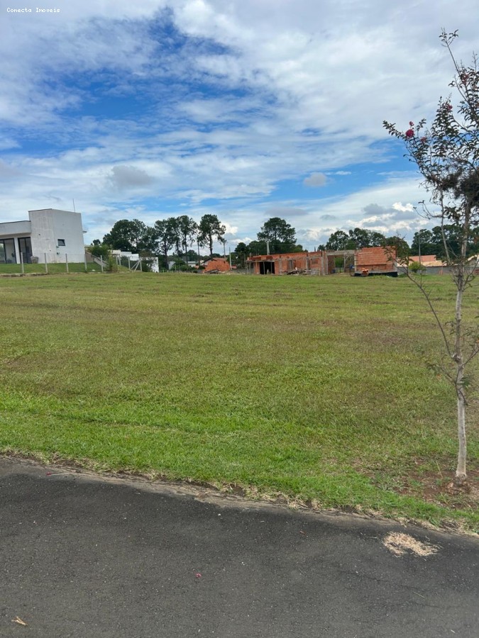 Terreno, 1040 m² - Foto 1