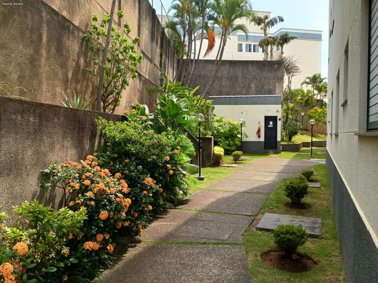 Apartamento, 2 quartos - Foto 12